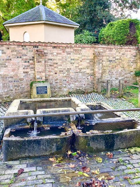 Spring Wells